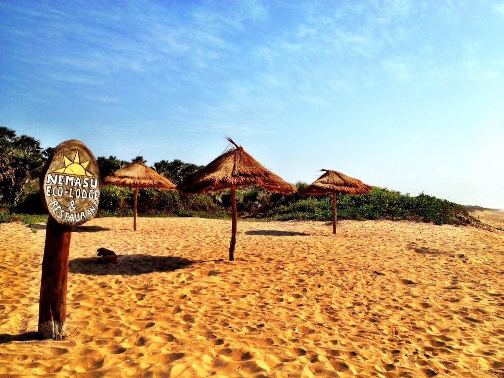 Nemasu Eco-Lodge Gunjur Экстерьер фото
